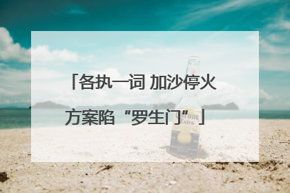 各执一词 加沙停火方案陷“罗生门”